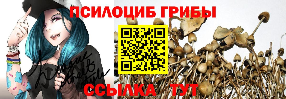 Галлюциногенные грибы ЛСД  Вход с VPN  Лесосибирск  Псилоцибиновые грибы прущие грибы 